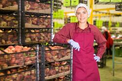 Spherion staffs seasonal jobs Woman in a bakery posing with a bin of bread