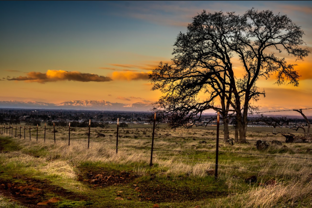 Field in Upper Bidwell Park in Chico California