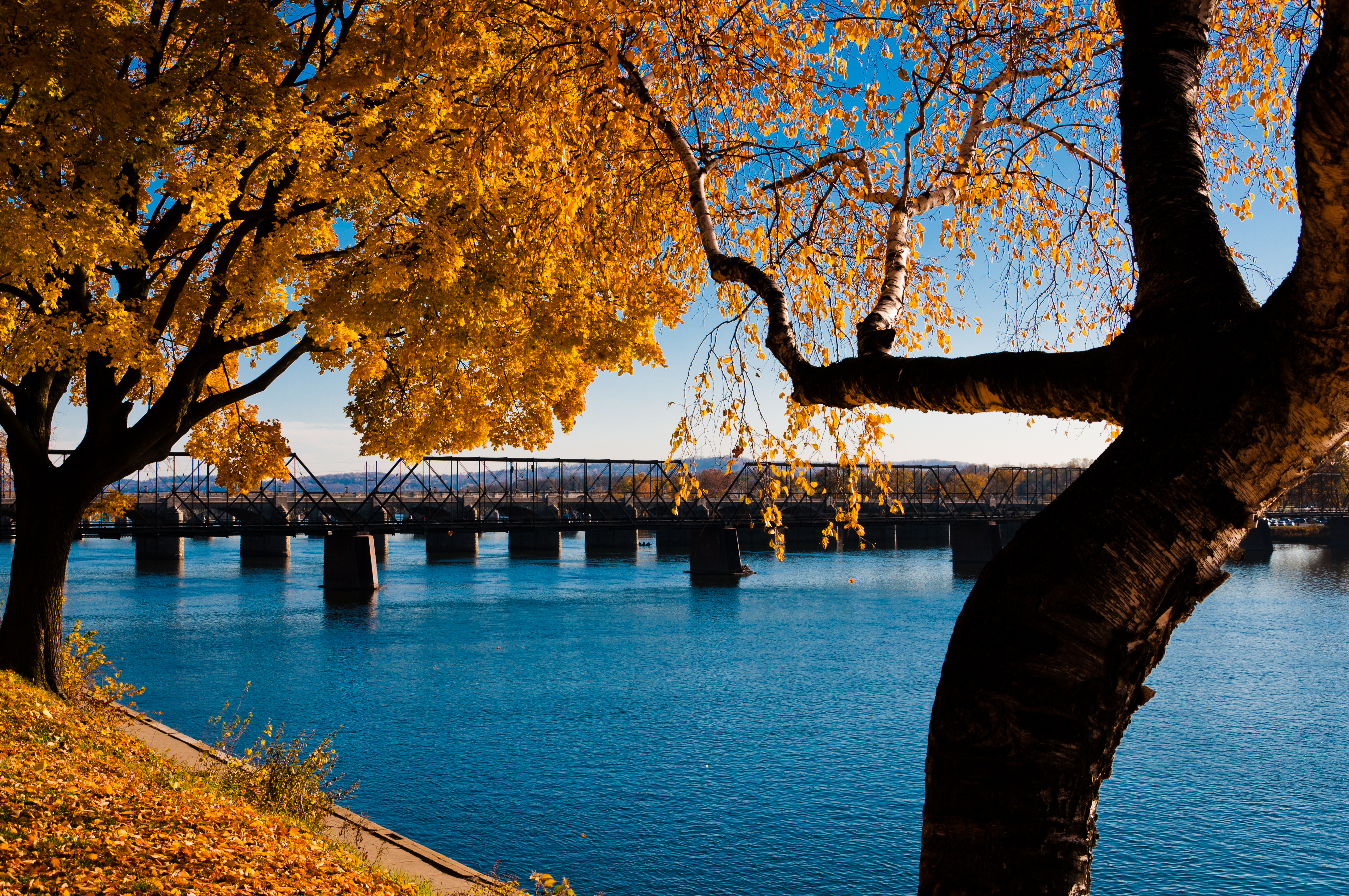 Late autumn color as seen in Riverfront Park along the Susquehanna River in Harrisburg, PA