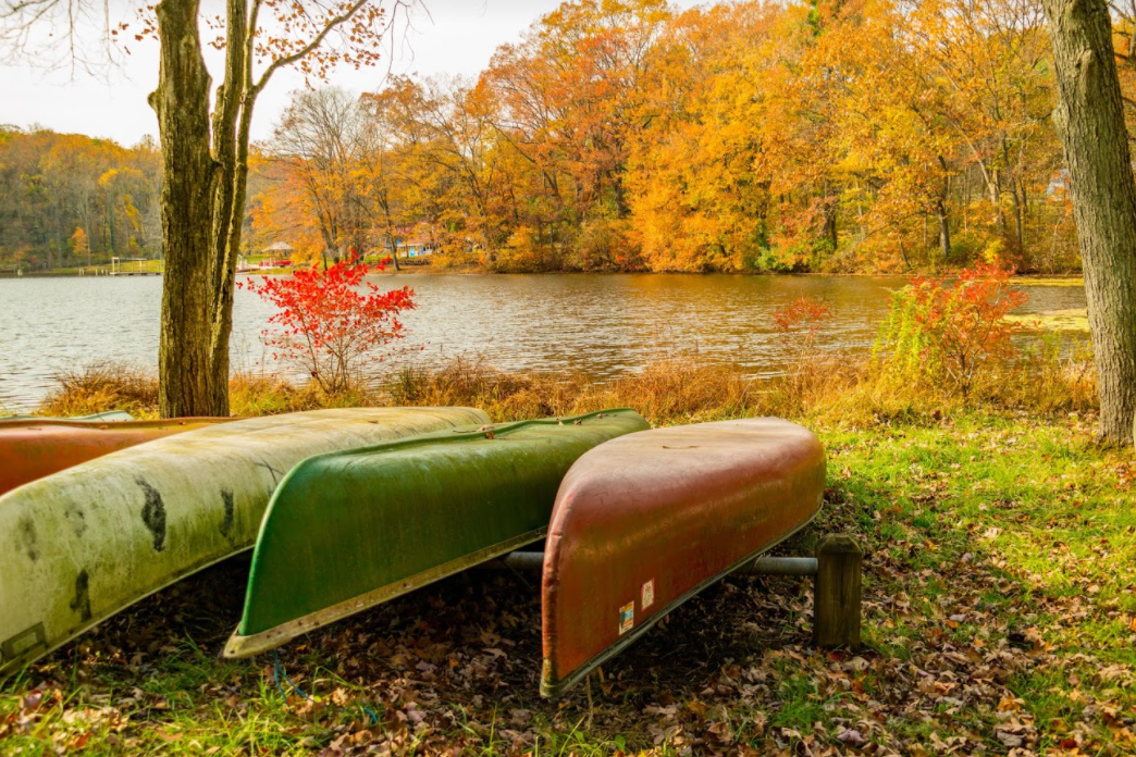 Three upsidedown canoes being stored by a lake in autumn