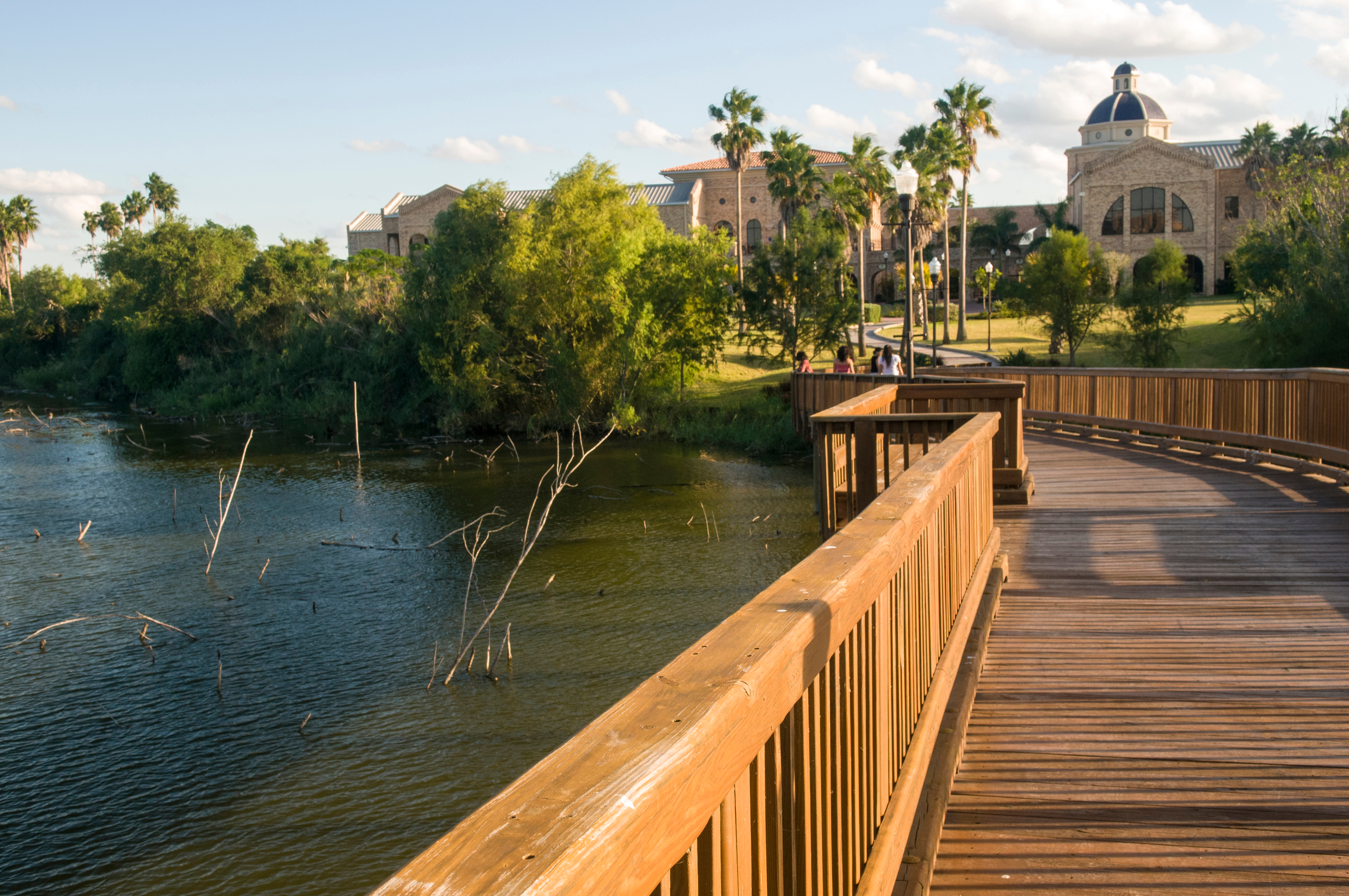 Wooden bridge over a resacas a former channel of the Rio Grande