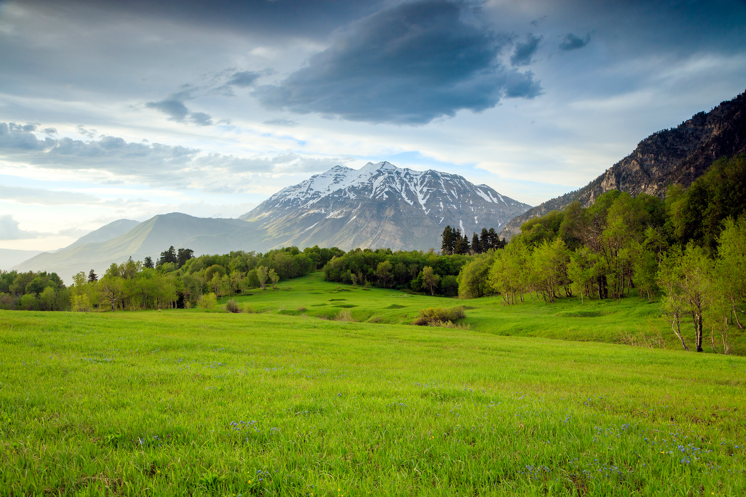 Summer meadow at the base of mountains