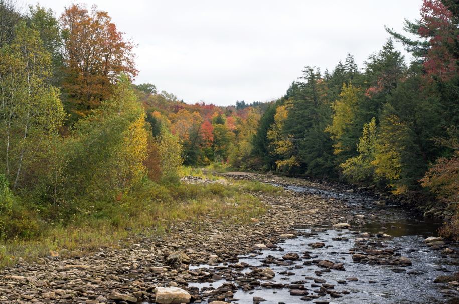 Shallow creek bed in autumn