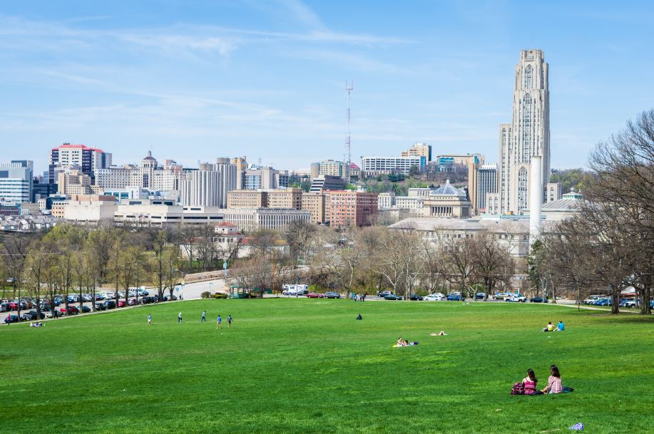 People in a large open park overlooking a city skyline