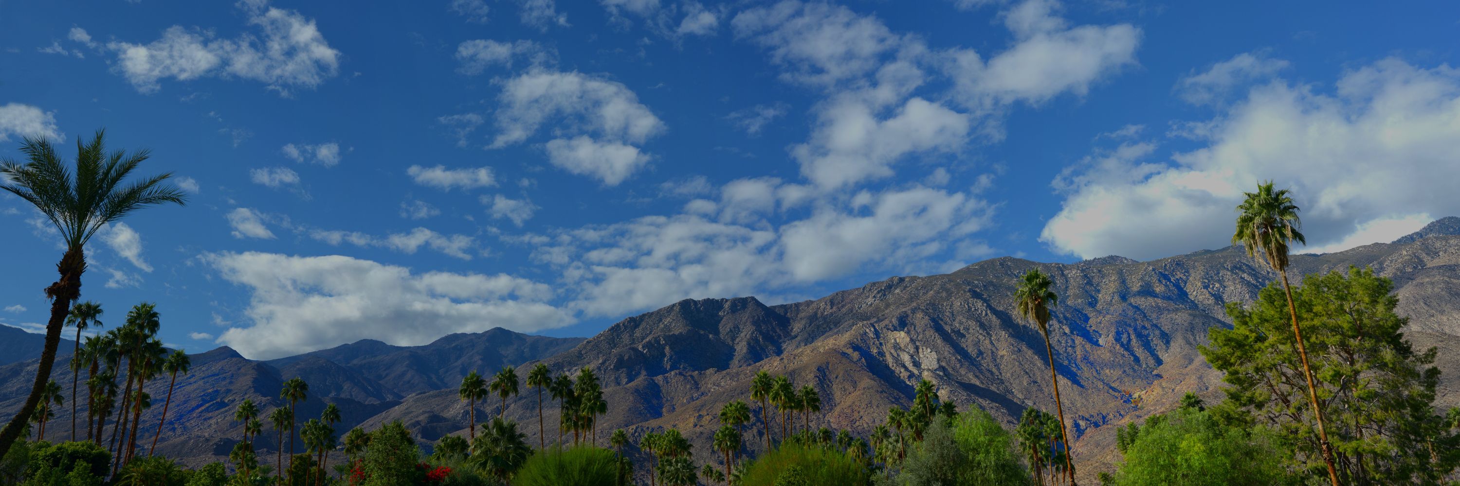 A landscape photo of a mountain vista with palm trees in the foreground and a blue sky with white clouds.