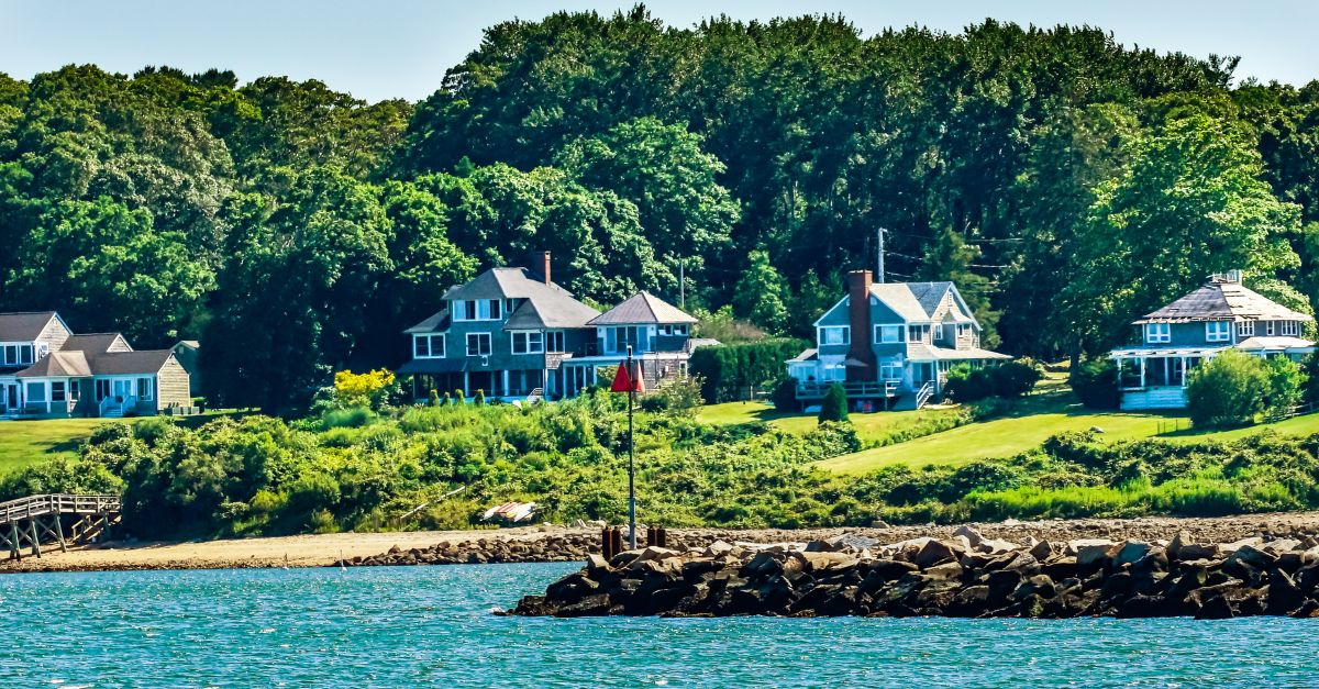 Photo of a harbor with houses and forest in the background