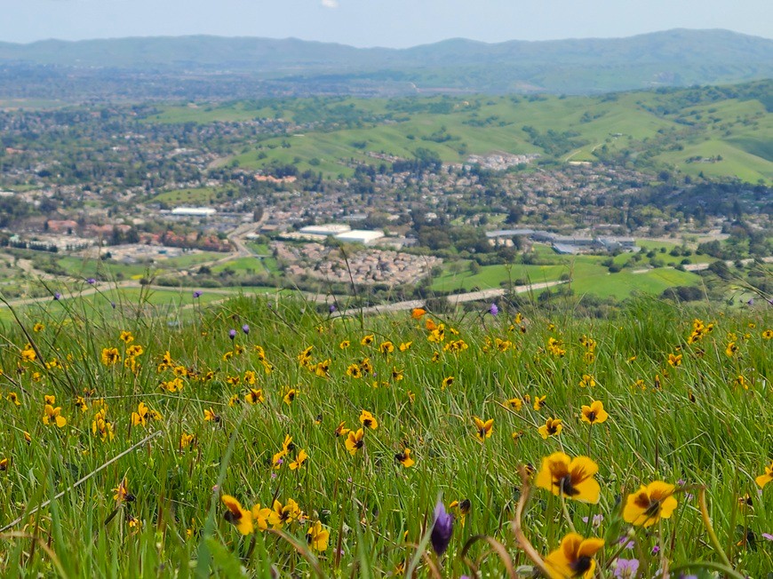 Livermore Valley California