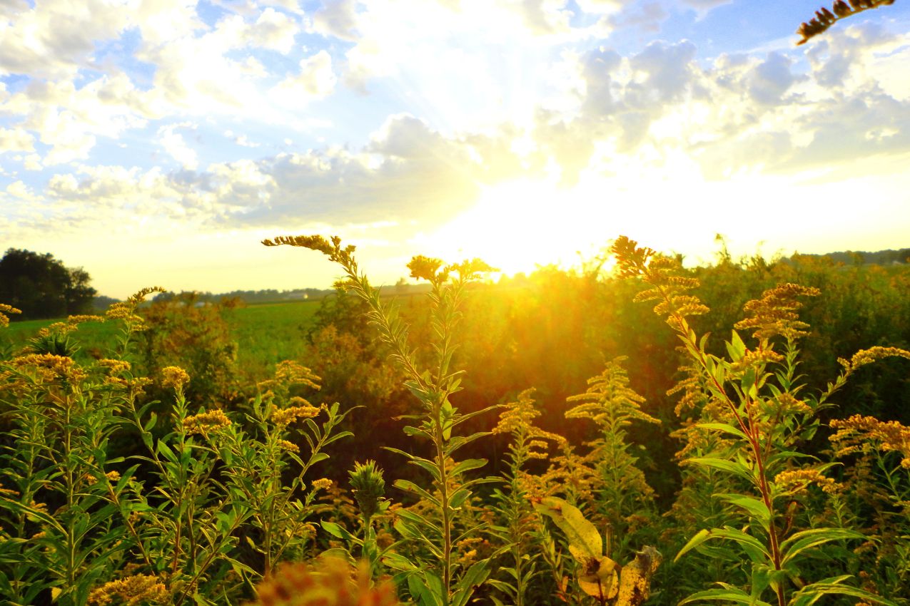 Photo of the Indiana Countryside