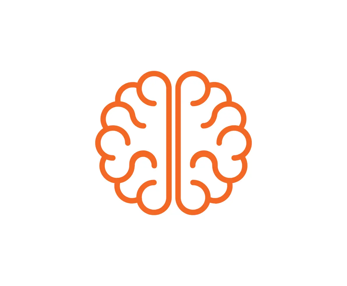 Orange outline of a brain on a white background