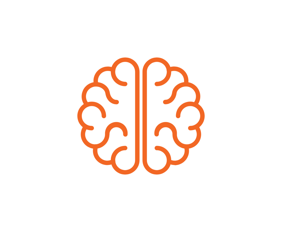 Orange outline of a brain on a white background
