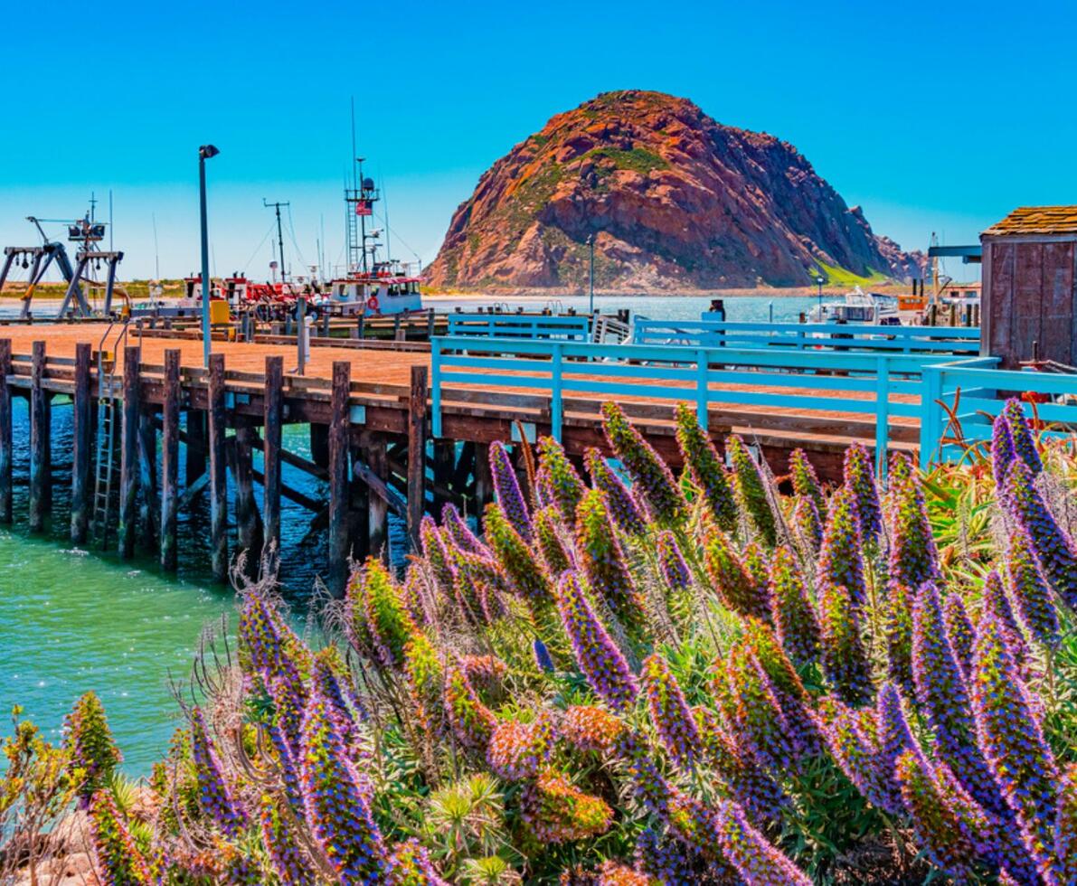 Morro Rock, san Luis Obispo County, California