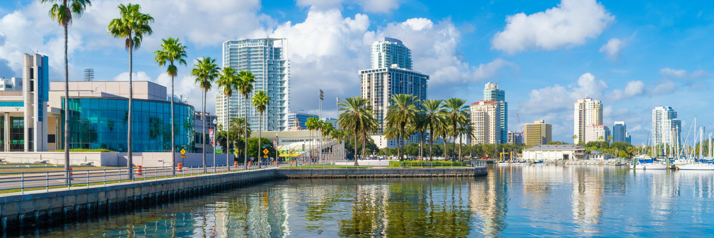 A photo of a coastline with palm trees and skyscrapers in the background